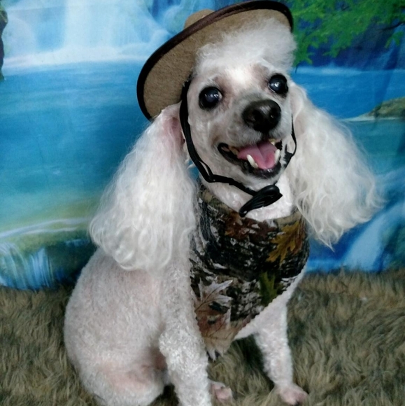 Make an offer on any item!😊 - Picture 3 of 5